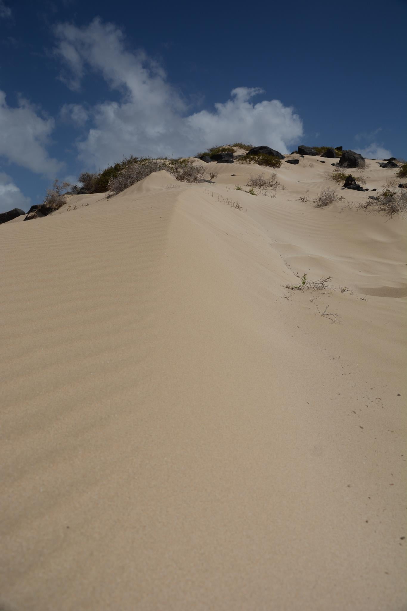 Playa Francesca, La Graciosa — gone.world