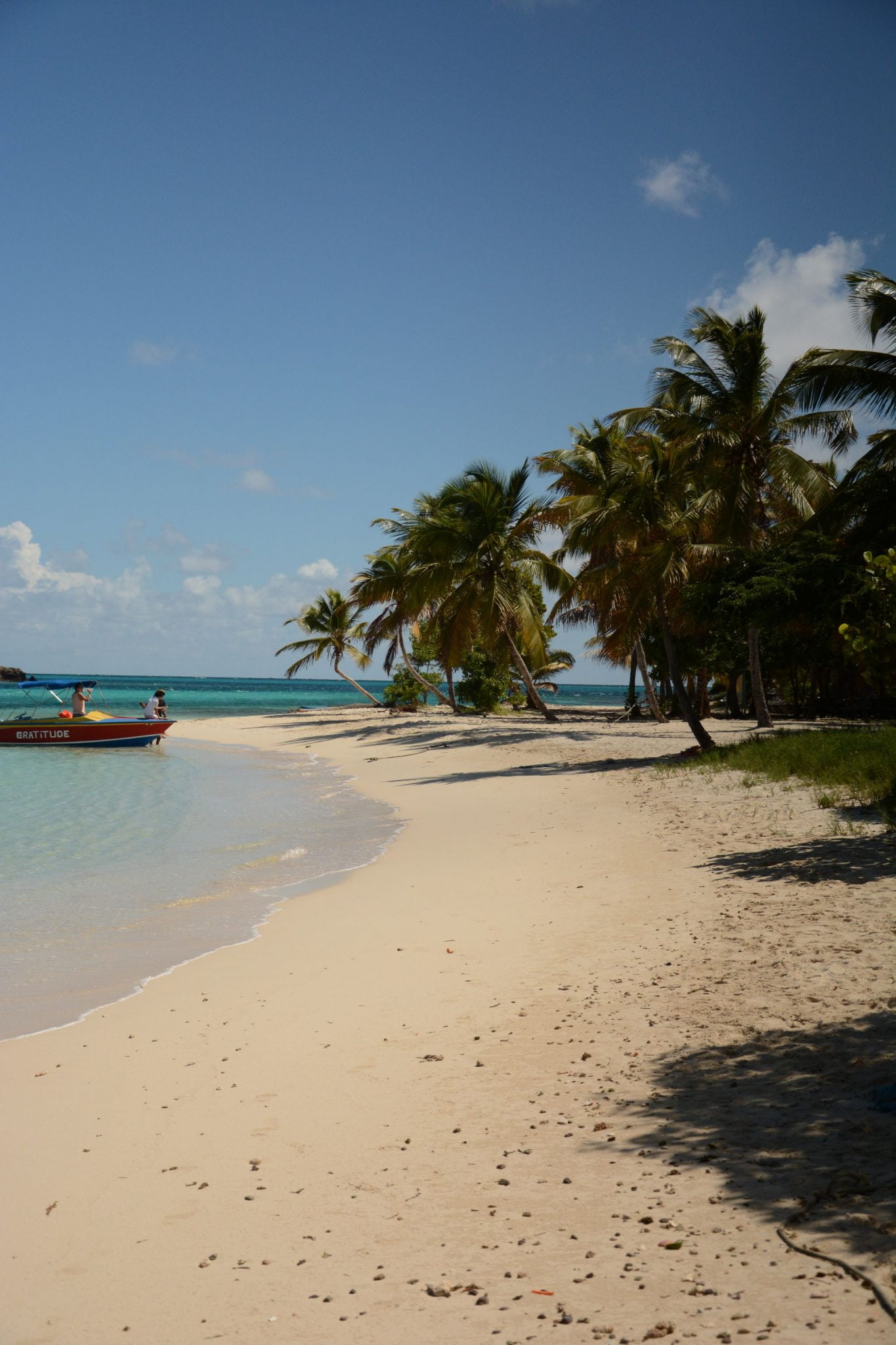 tobago cays catamaran